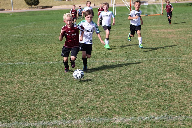 或许正能为 或许正能为