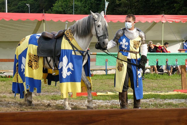 能力较量的 能力较量的